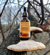 Healthy Brain: Lion's mane, Reishi and Turkey Tail Mushroom Herbal Tincture - Vegan America