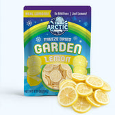 Freeze Dried Lemon Slices - Vegan America