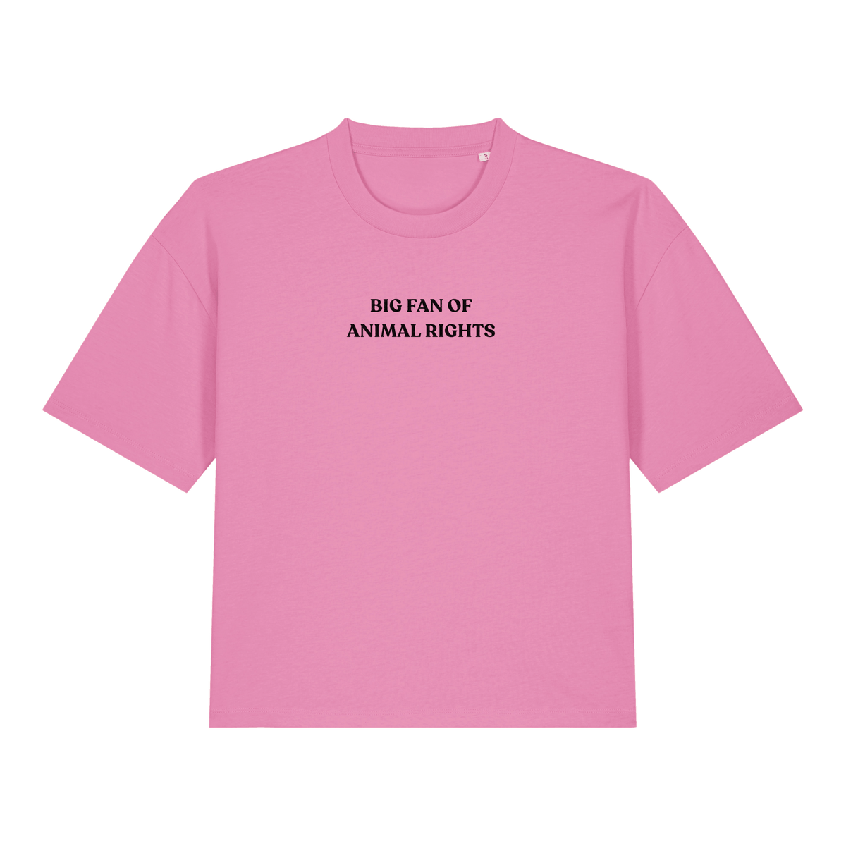 Big Fan Of Animal Rights Women's Boxy T-Shirt - Vegan America