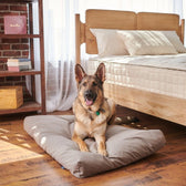 Organic Pet Bed with Washable Waterproof Cover - Large - Vegan America