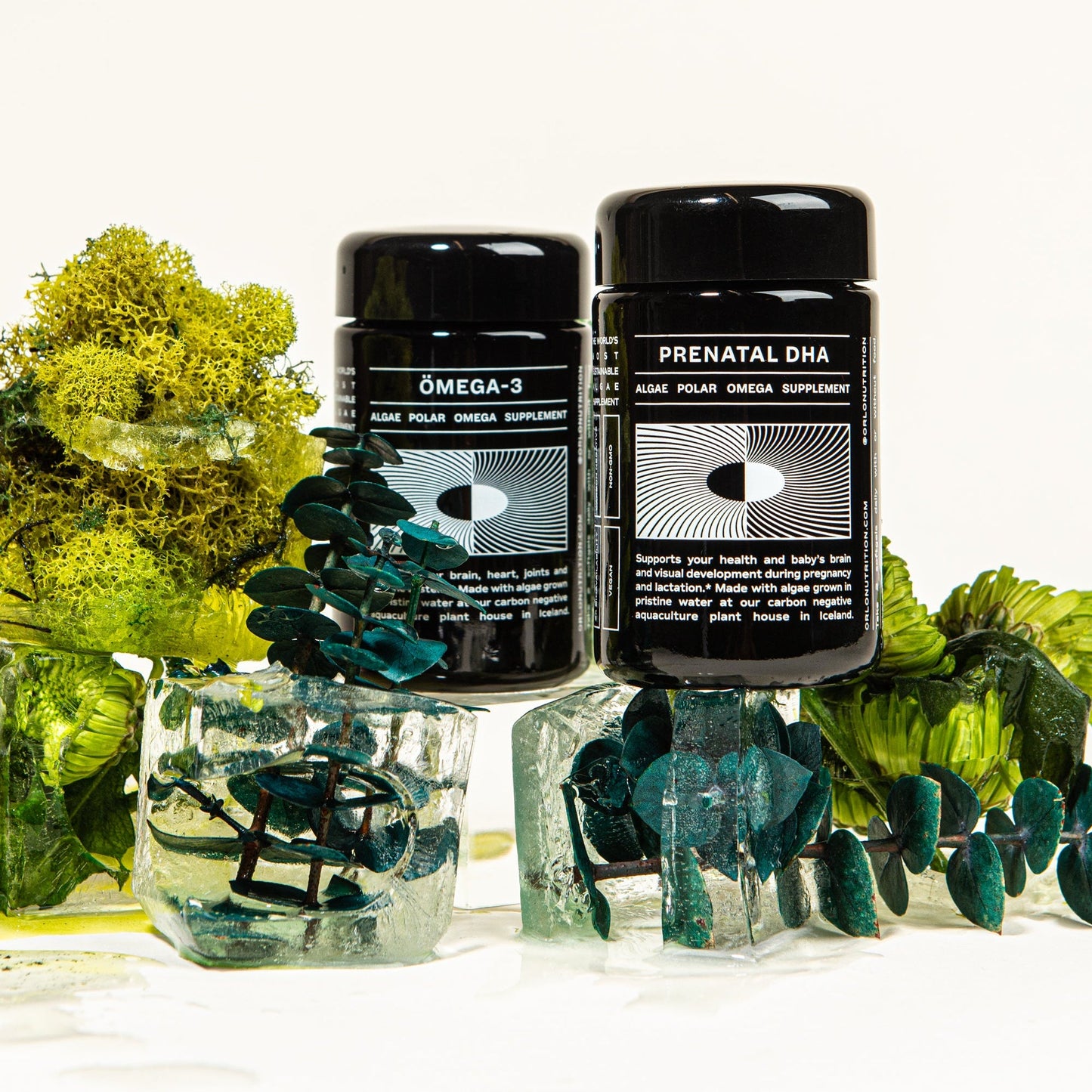 Active Prenatal DHA+