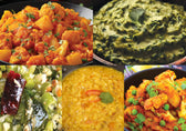 Indian Adventure Sampler - Indian Cooking Kit with Spices and Recipes - Vegan America