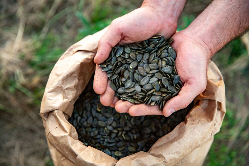 🧂 Classic Sea Salt Gourmet Pumpkin Seeds – Premium European, Hull - Less, Dry Roasted, Low Sodium - Vegan America