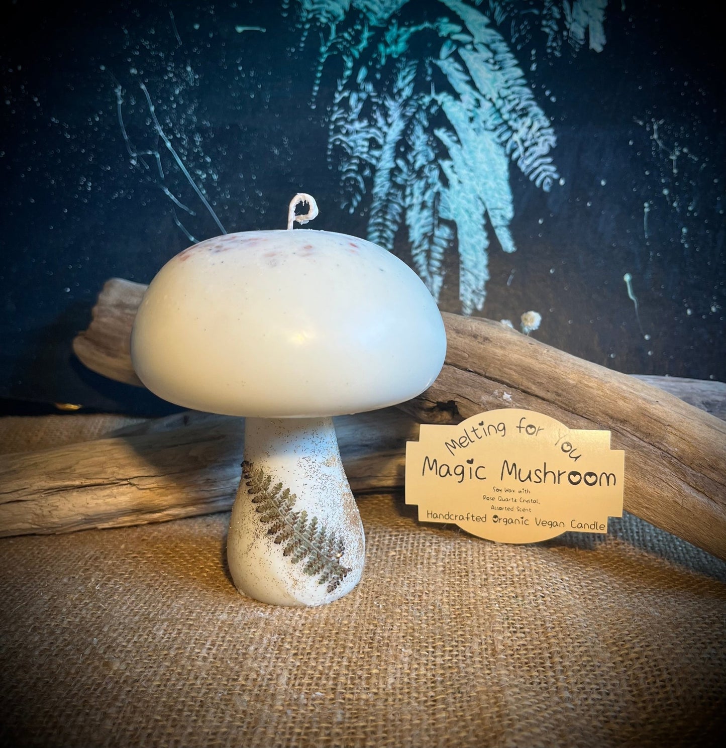 Magic Mushroom Organic Candle - Vegan America