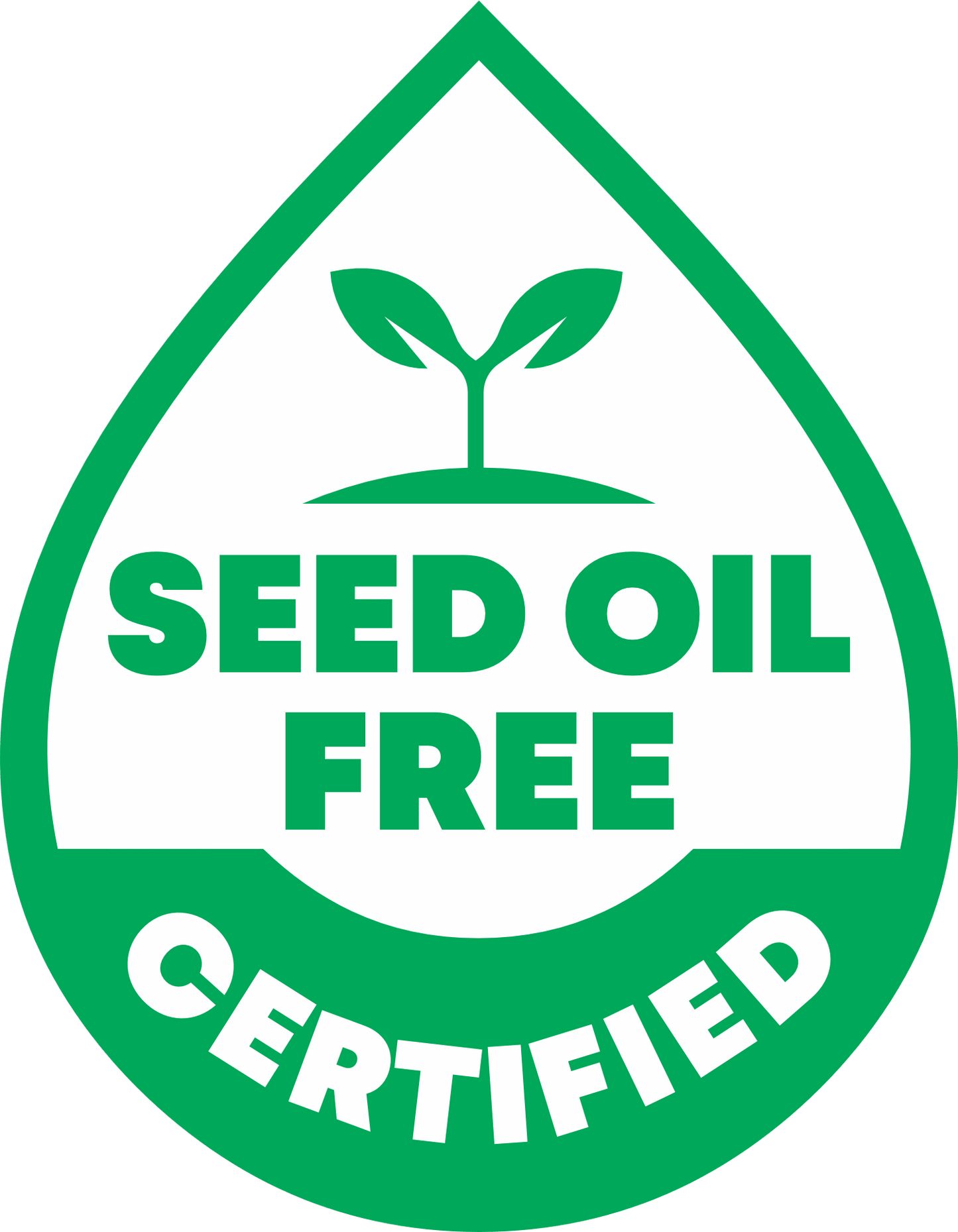 Spring Salt Fries - Vegan America