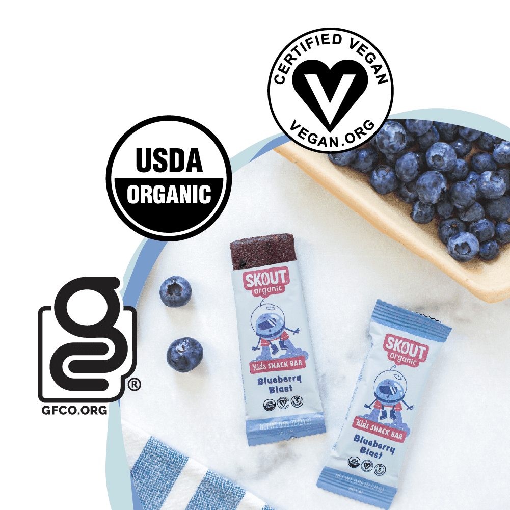 Skout Organic Blueberry Blast Kids Bar - Vegan America