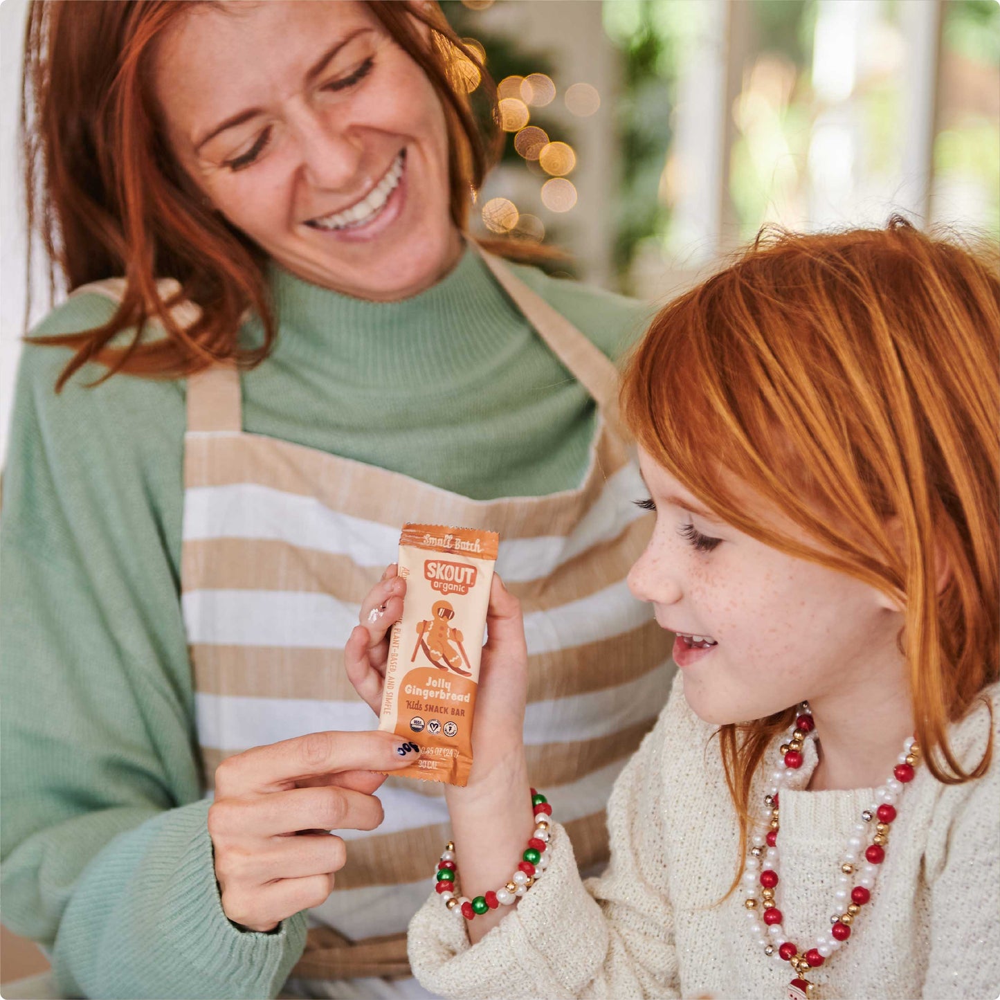 Skout Organic Jolly Gingerbread Kids Bar - Vegan America