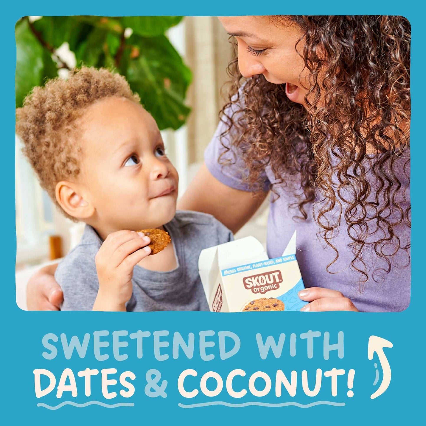 Skout Organic Soft Baked Cookie Variety Pack