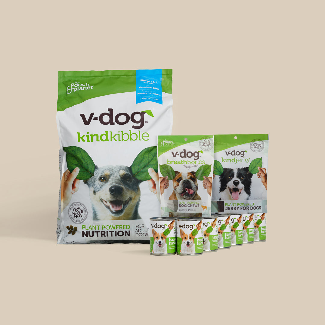 v-dog large dog bundle