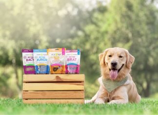 Bright Planet Pet - Vegan America