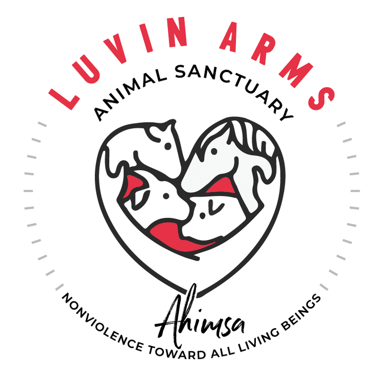 Luvin Arms Animal Sanctuary - Vegan America