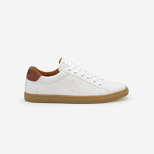 Winton -  Blanc Marron Miel