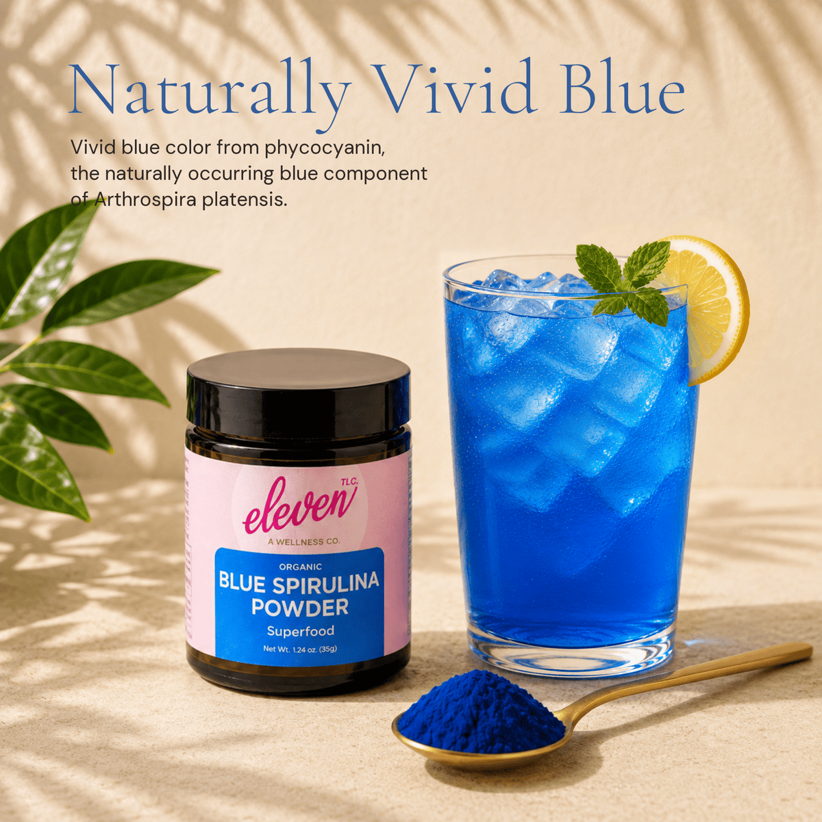 Organic Blue Spirulina Powder | Phycocyanin Antioxidant | 35g - Vegan America