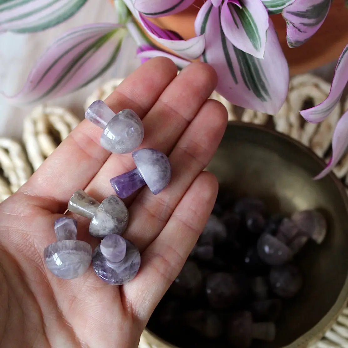 Mini Crystal Mushrooms - Vegan America