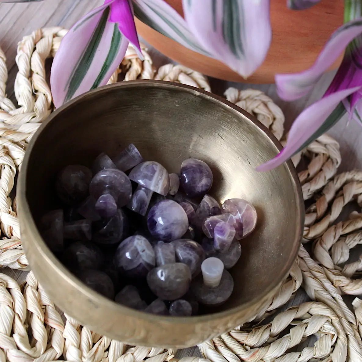 Mini Crystal Mushrooms - Vegan America