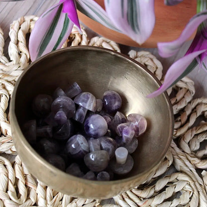 Mini Crystal Mushrooms - Vegan America