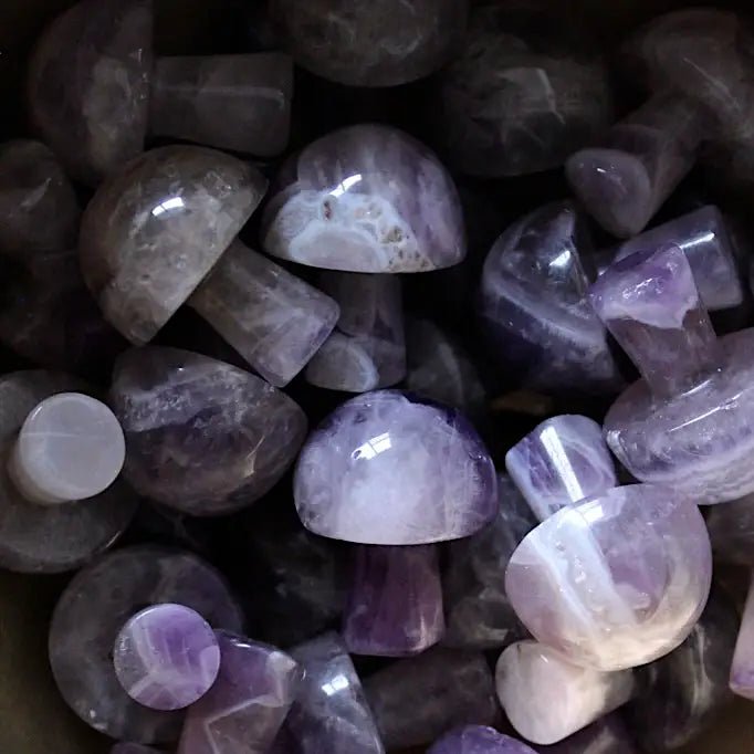 Mini Crystal Mushrooms - Vegan America