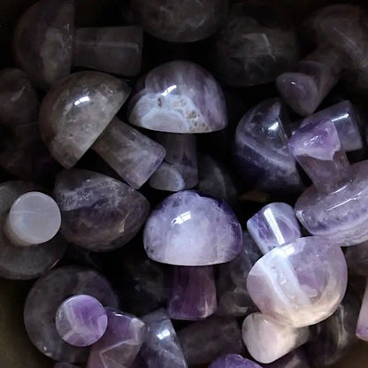 Mini Crystal Mushrooms - Vegan America