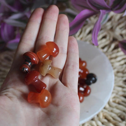 Mini Crystal Mushrooms - Vegan America