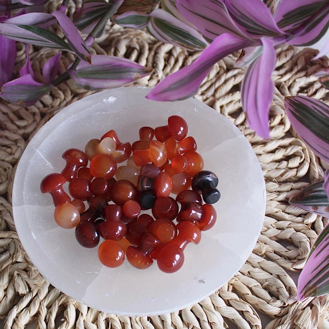 Mini Crystal Mushrooms - Vegan America
