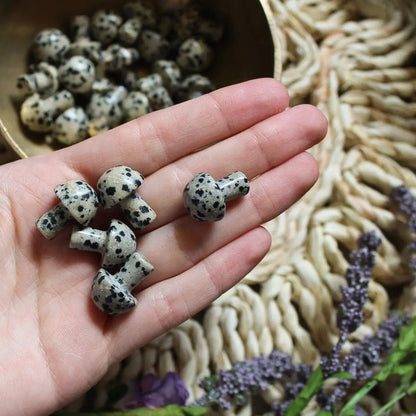 Mini Crystal Mushrooms - Vegan America
