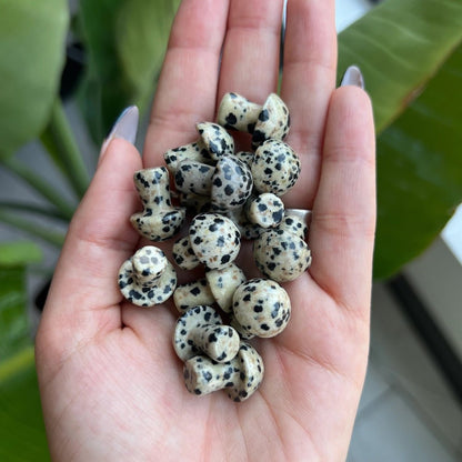 Mini Crystal Mushrooms - Vegan America