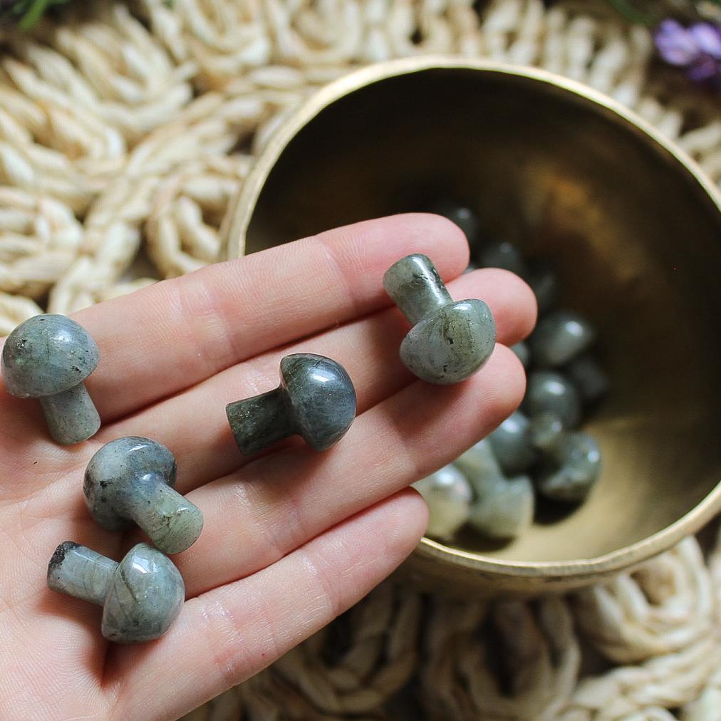 Mini Crystal Mushrooms - Vegan America
