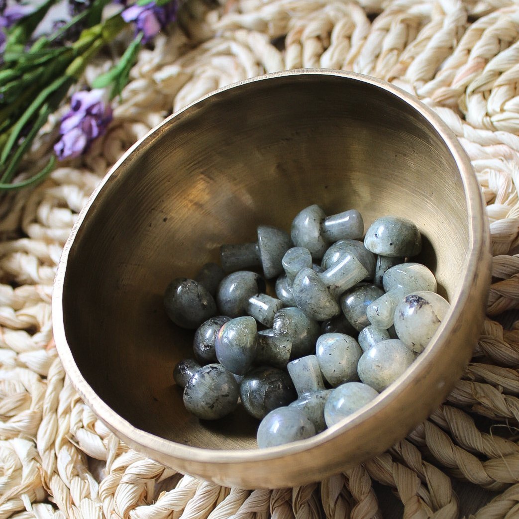 Mini Crystal Mushrooms - Vegan America