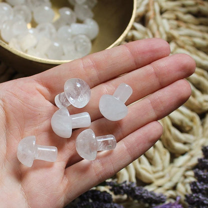 Mini Crystal Mushrooms - Vegan America