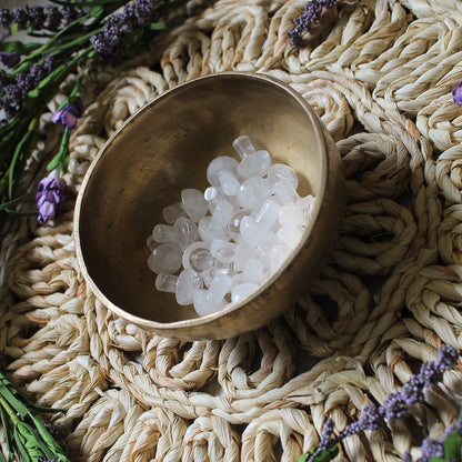 Mini Crystal Mushrooms - Vegan America