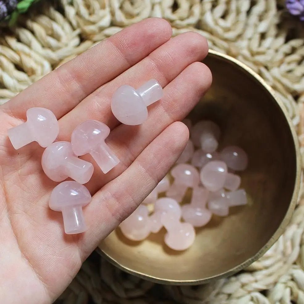Mini Crystal Mushrooms - Vegan America