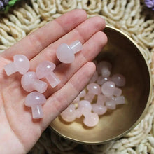 Mini Crystal Mushrooms - Vegan America
