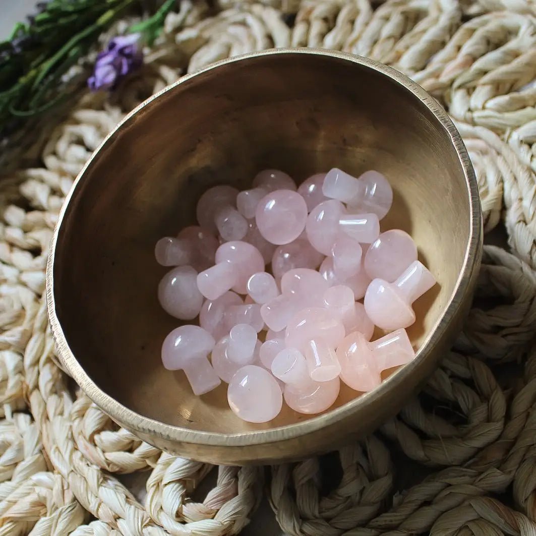 Mini Crystal Mushrooms - Vegan America