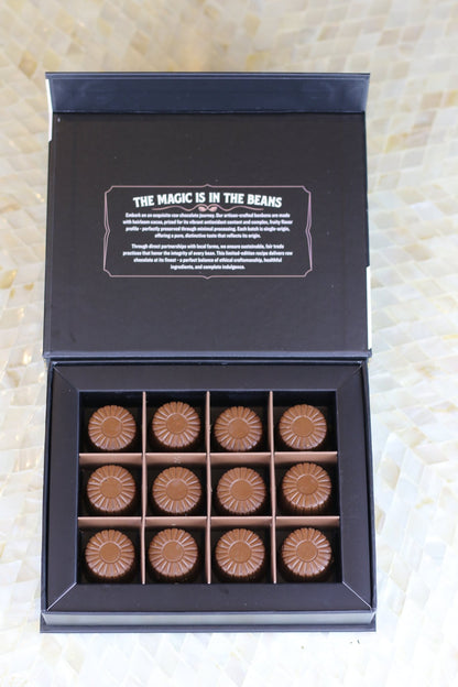 Rawmio 70% Dark Chocolate Bonbons, 12 Bonbons - Vegan America