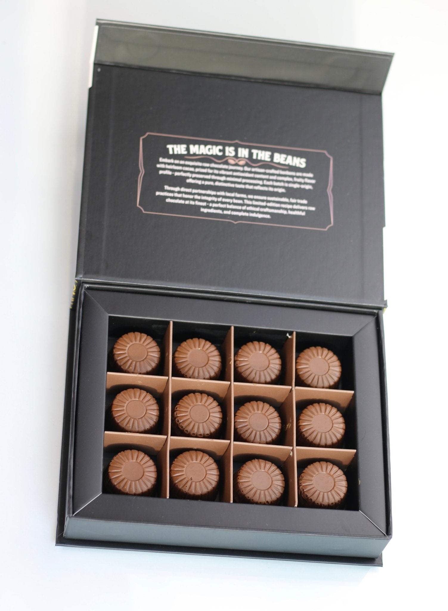 Rawmio 70% Dark Chocolate Bonbons, 12 Bonbons - Vegan America