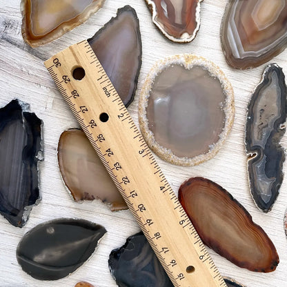 Agate Slice - Vegan America