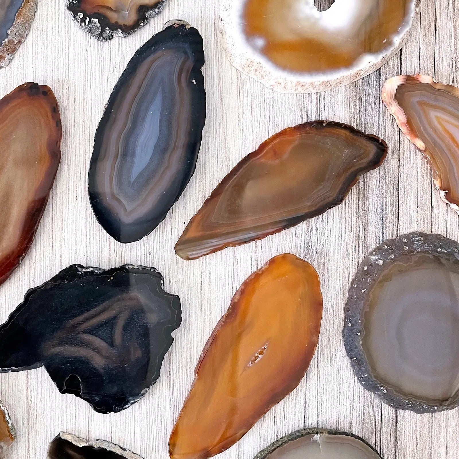 Agate Slice - Vegan America