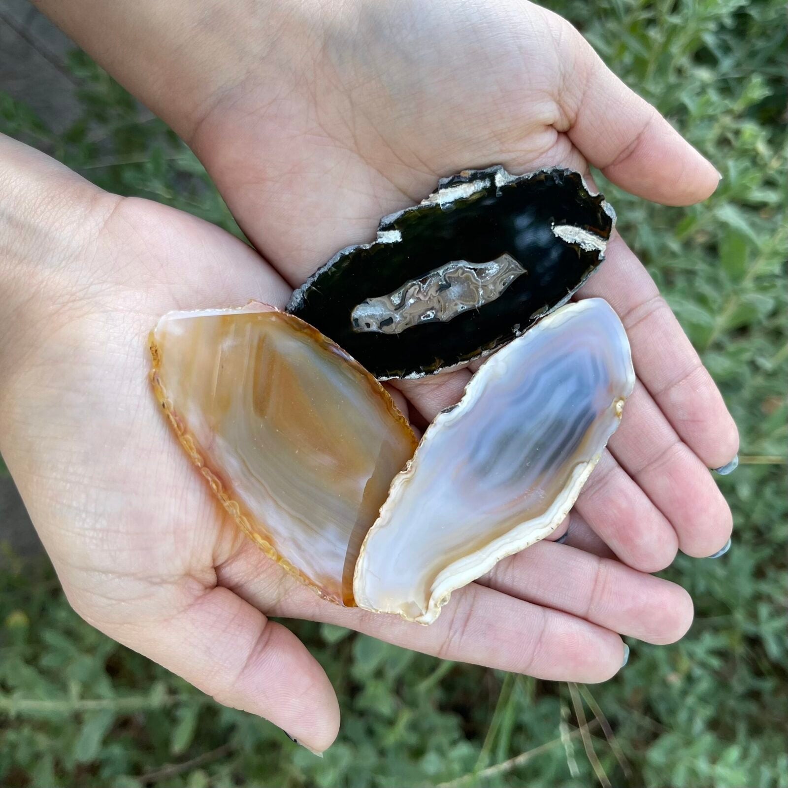 Agate Slice - Vegan America