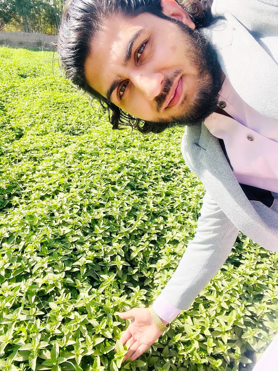 Herati Mint Leaves (peppermint) 1 Oz