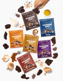 Pan's Mushroom Jerky Single Serve Sampler Pack - Vegan America