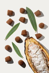 Vegan Chocolate Truffles - bulk - Vegan America