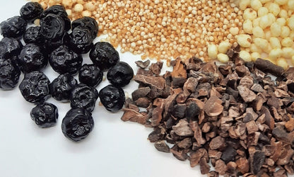 NEW Dark Chocolate Alegria Bites w/ Blueberries + Cacao Nibs (Wholesale)