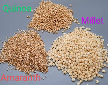 NEW Extra Dark Chocolate Alegria Bites w/ Cranberries + Cashews