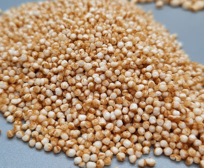 NEW Extra Dark Chocolate Alegria Bites w/ Cranberries + Cashews