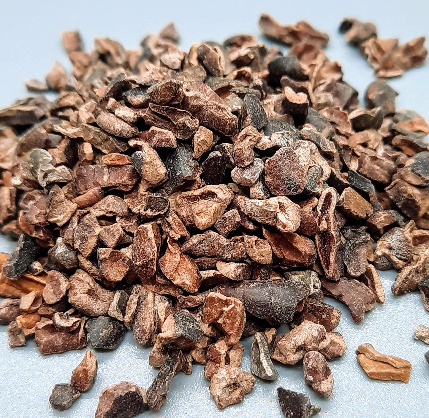 NEW Dark Chocolate Alegria Bites w/ Blueberries + Cacao Nibs (Wholesale)