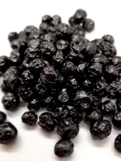 NEW Dark Chocolate Alegria Bites w/ Blueberries + Cacao Nibs (Wholesale)