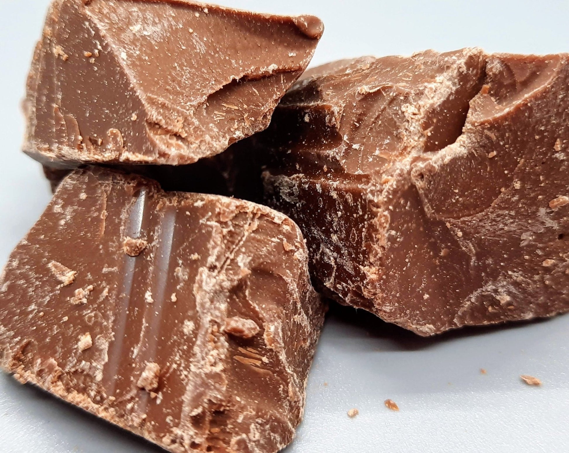 NEW Milk Chocolate Alegria Bites - Vegan America