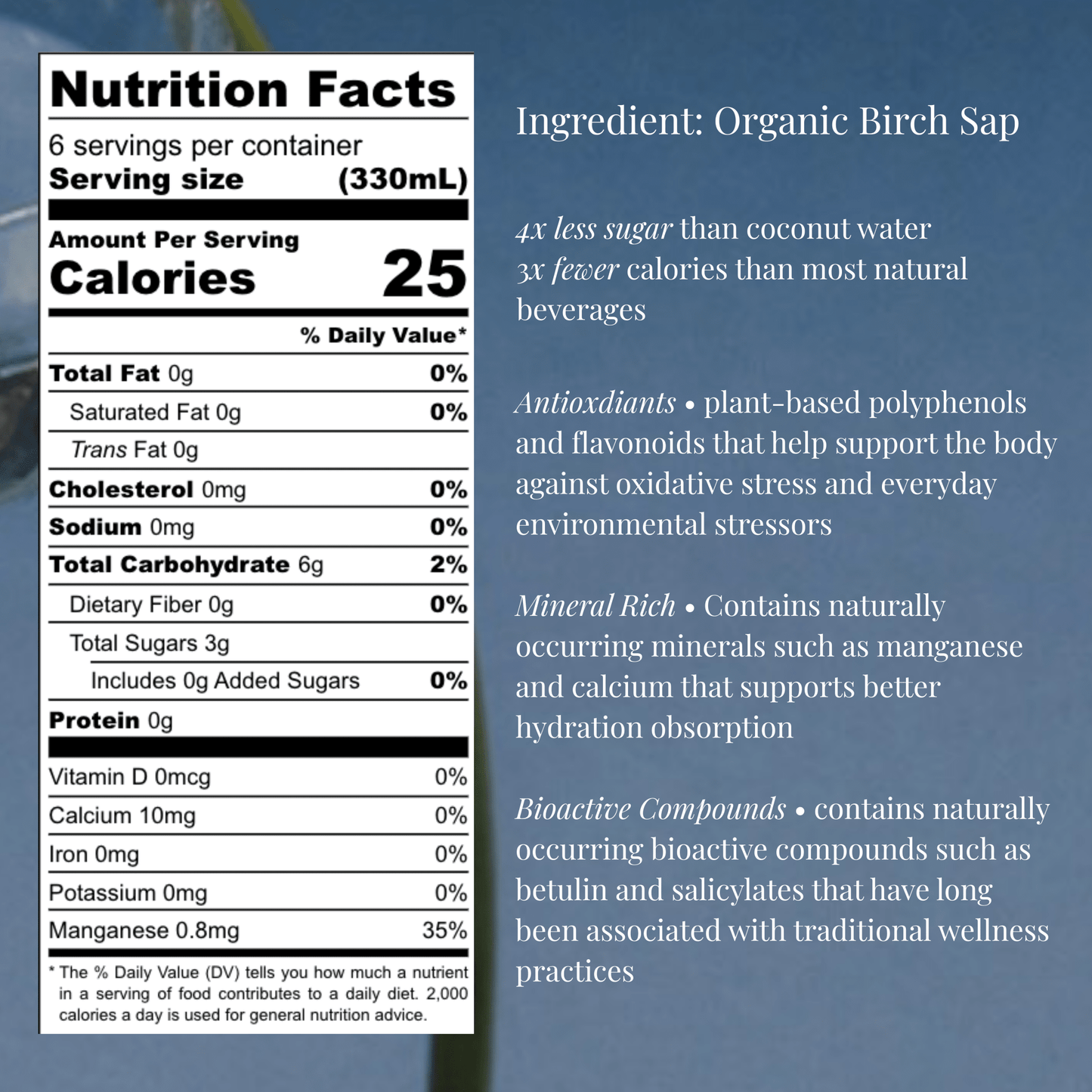OOZ Organic Birch Water - 6 Pack - Vegan America