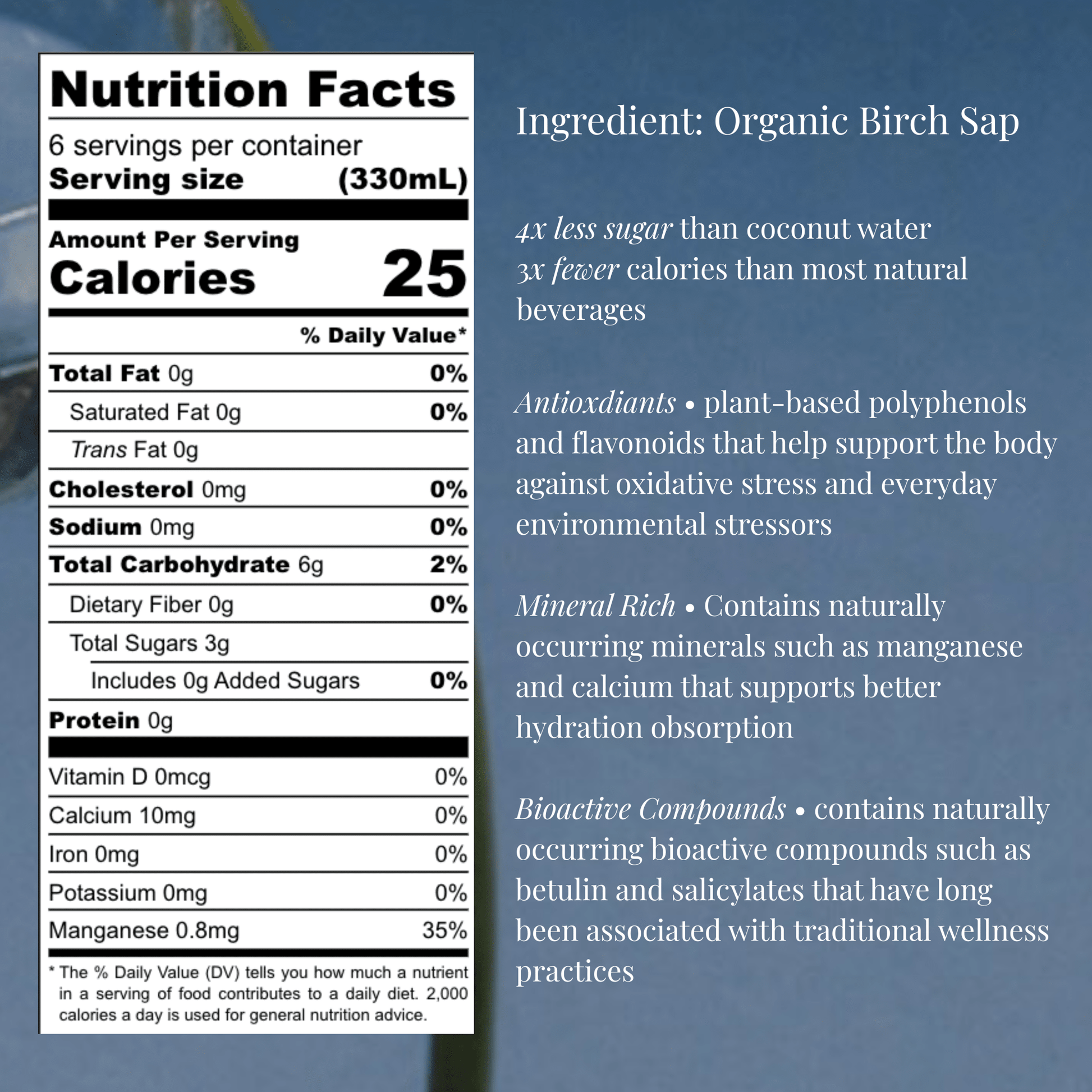 OOZ Organic Birch Water - 6 Pack - Vegan America