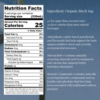 OOZ Organic Birch Water - 6 Pack - Vegan America